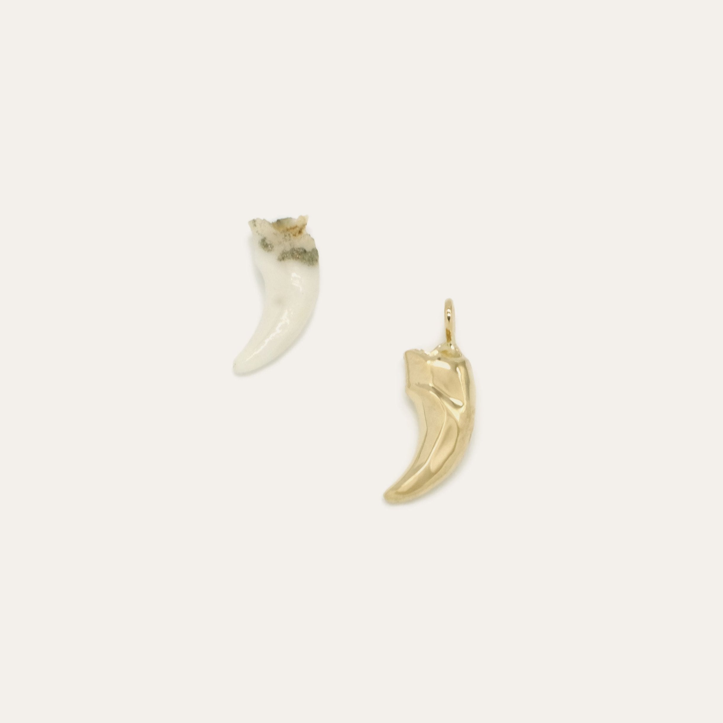 Custom Toof Charm