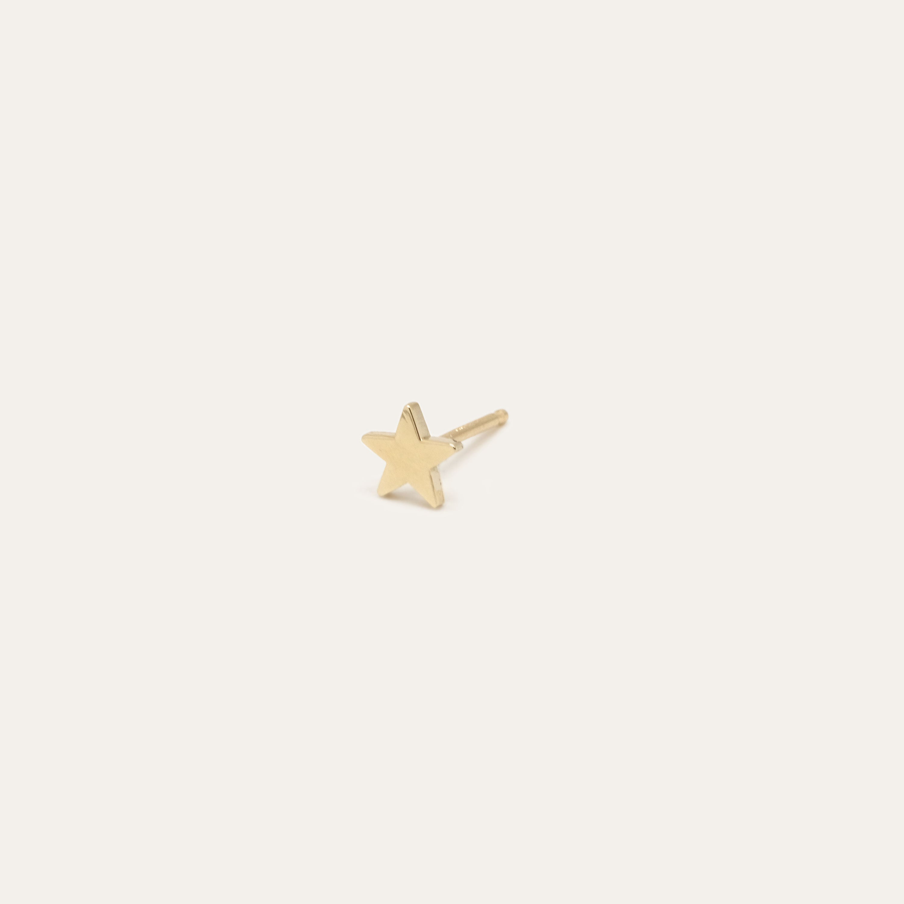 Moon or Star Earring