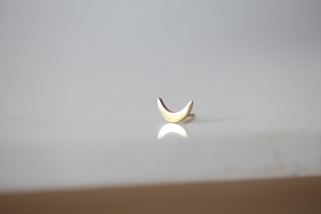 Moon or Star Earring