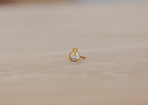 Good Luck Ladybug Earring