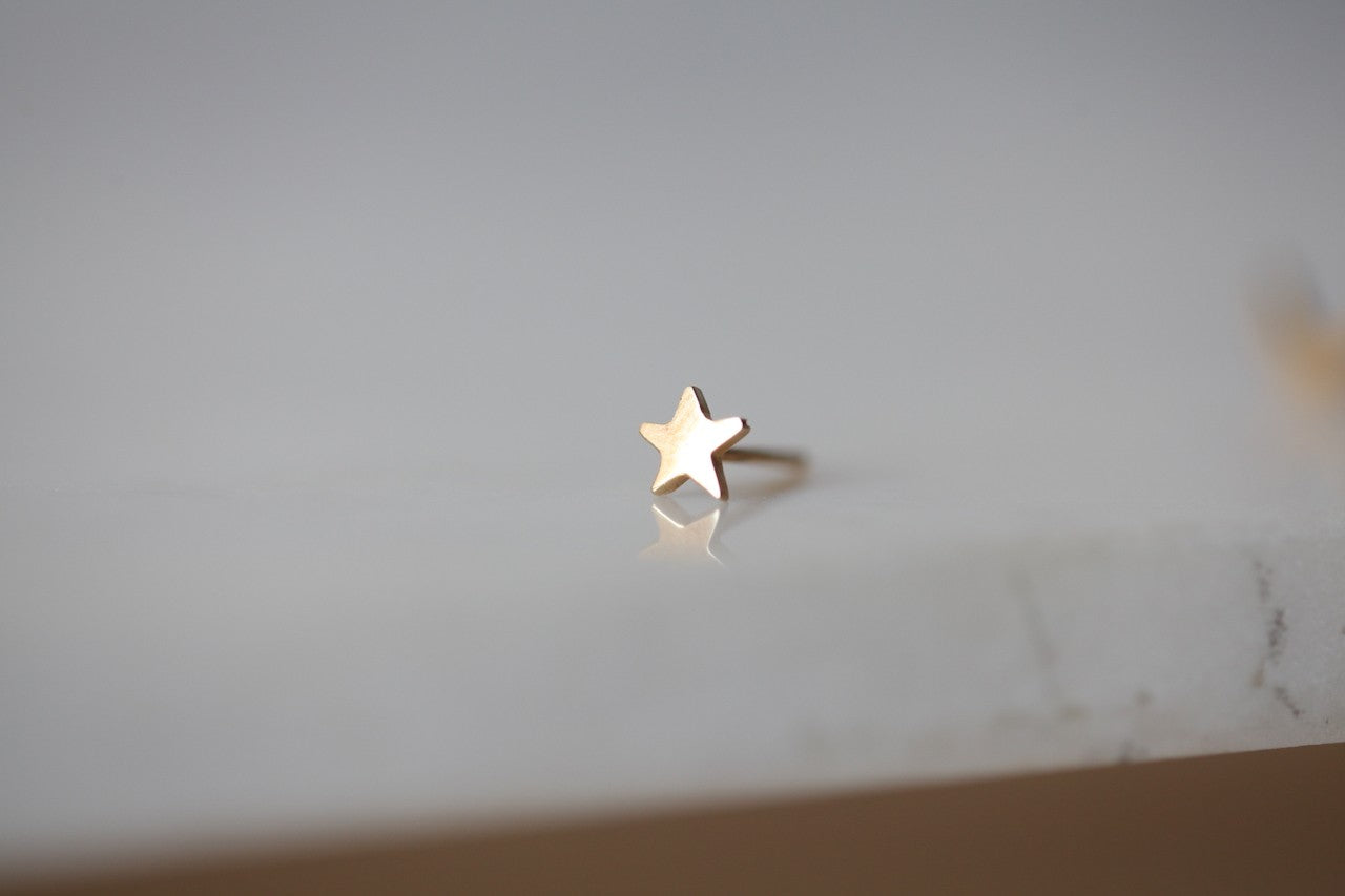 Moon or Star Earring